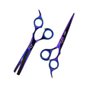 Estuche de Tijeras 6" Morado con Tornillo Aashta -EAA84-
