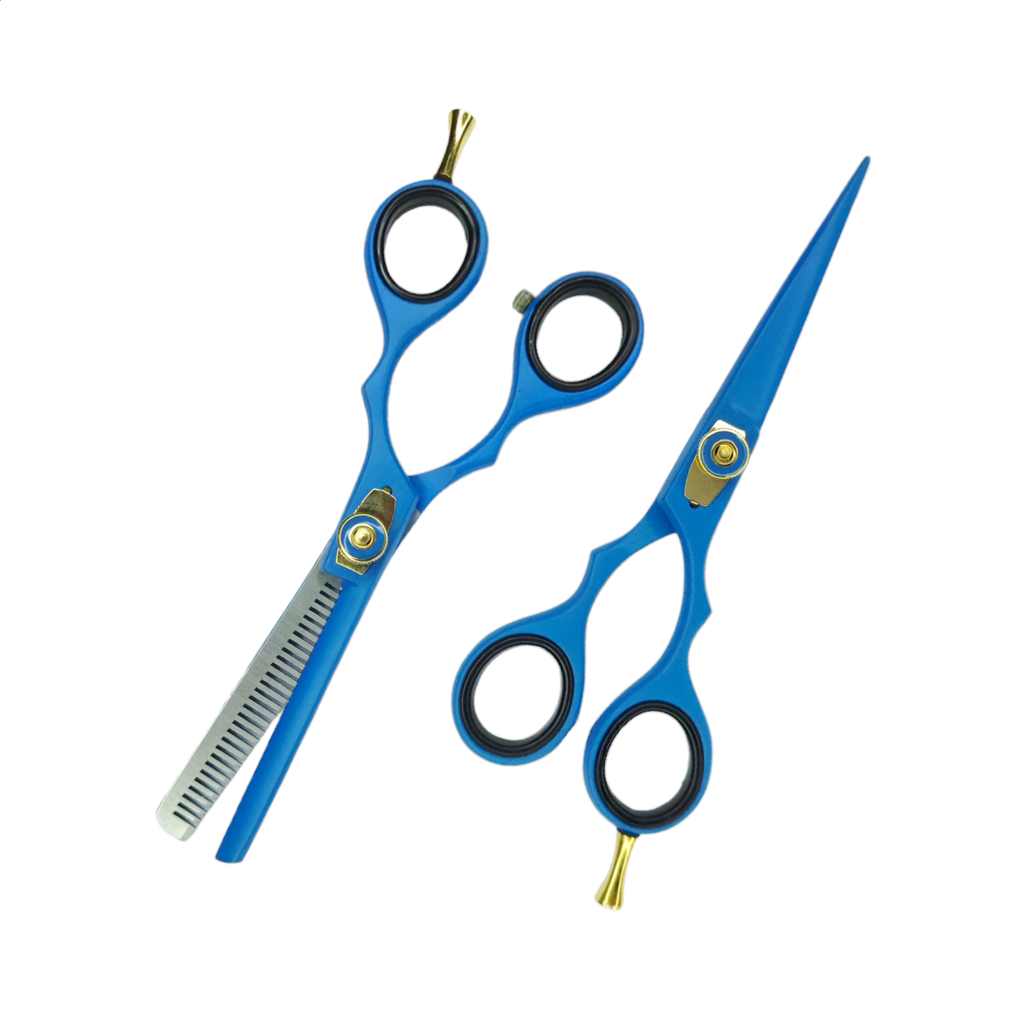 Estuche de Tijeras 5.5" Azul con Tornillo Aashta -EAA42-