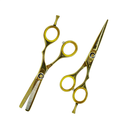 Estuche de Tijeras 5.5" Dorado con Tornillo Aashta -EAA75-