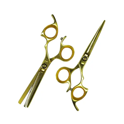 [EAA87] Estuche de Tijeras 6" Doradas Ergonómicas con Tornillo Aashta -EAA87-