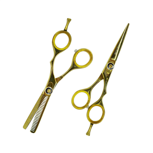 [EAA75] Estuche de Tijeras 5.5" Dorado con Tornillo Aashta -EAA75-